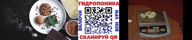 блэк спрут Александров Cannafood конопля