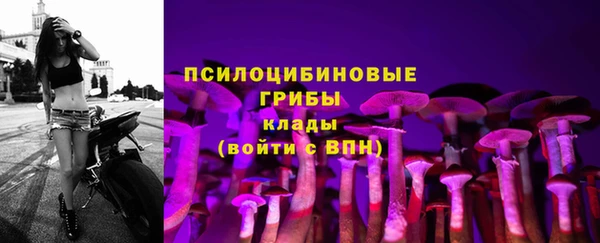 герыч Касимов
