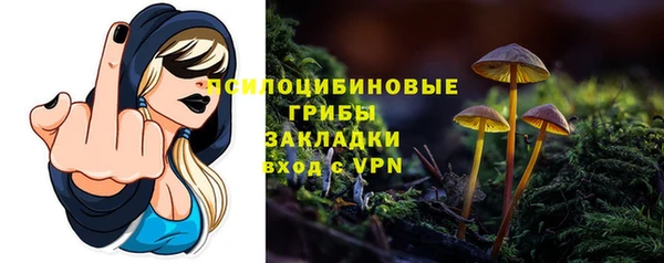 PSILOCYBIN Карпинск