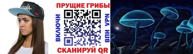 купить Александров Псилоцибиновые грибы Cubensis